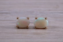 Load image into Gallery viewer, Oval cut Fiery Opal set Yellow Gold Stud Earrings