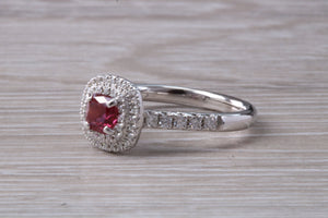Cushion cut Burmese Ruby and Diamond Double Halo set Ring