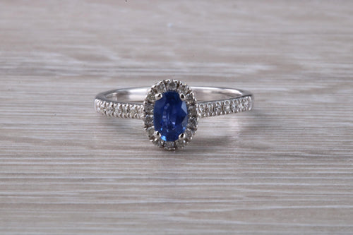 Absolutely Beautiful Blue Sapphire and Halo set Diamond Ring