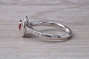 Cushion cut Burmese Ruby and Diamond Double Halo set Ring