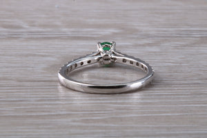 Emerald with Diamond set 18ct White Gold Ring
