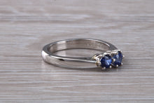 Load image into Gallery viewer, Two Very Sparkly Royal Blue Sapphires set Platinum Ring